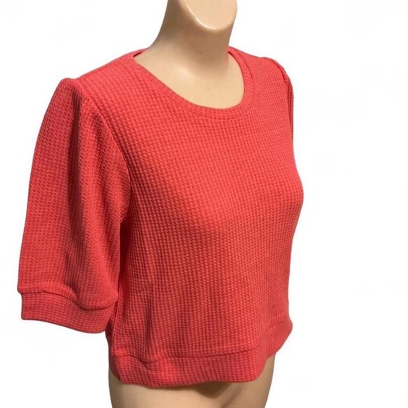 Chaser Coral Knit Crop Top - Picture 2 of 3